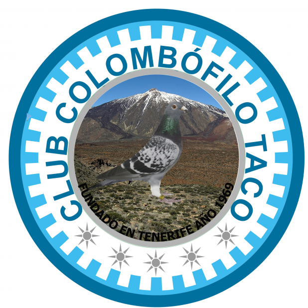Club Colombofilo Taco