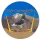Club Colombófilo Nakawe