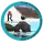 ASOCIACION COLOMBOFILA REALEJERA