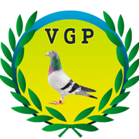 V GP Brasil