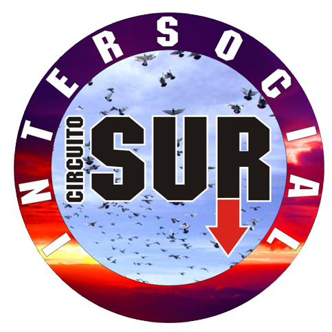 Circuito Sur - Región 1