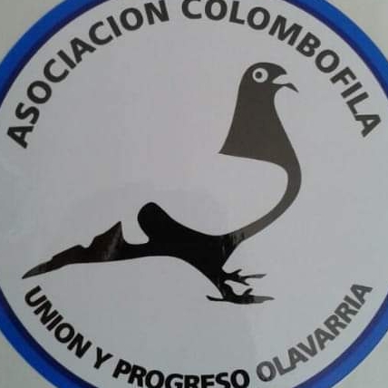 Unión y Progreso