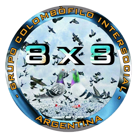 Circuito Regional 8x8