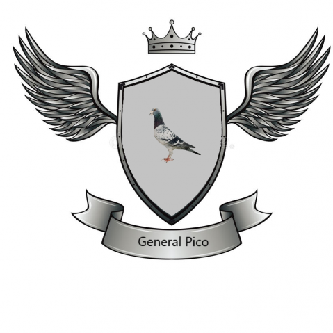 General Pico