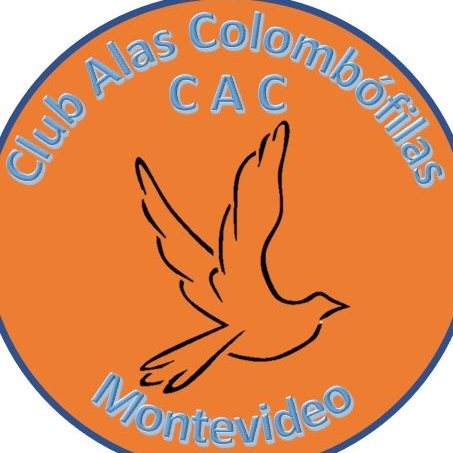Alas Colombófilas
