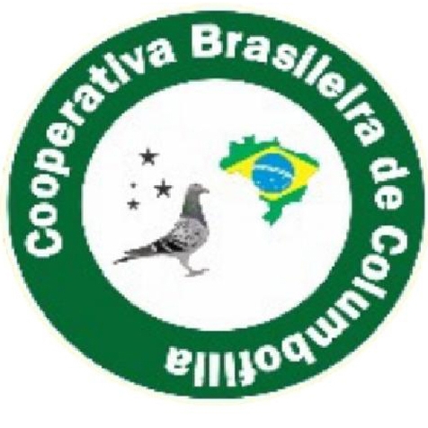 VI GP Brasil 2018