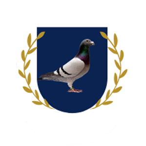 SOCIEDADE COLUMBOFILA CONTINENTE