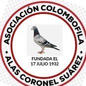 Alas de Coronel Suarez