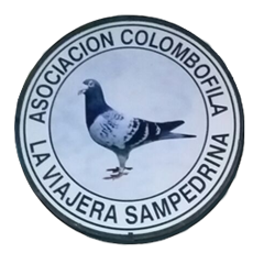La Viajera Sampedrina