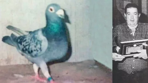 La de 17 de Raúl Calero