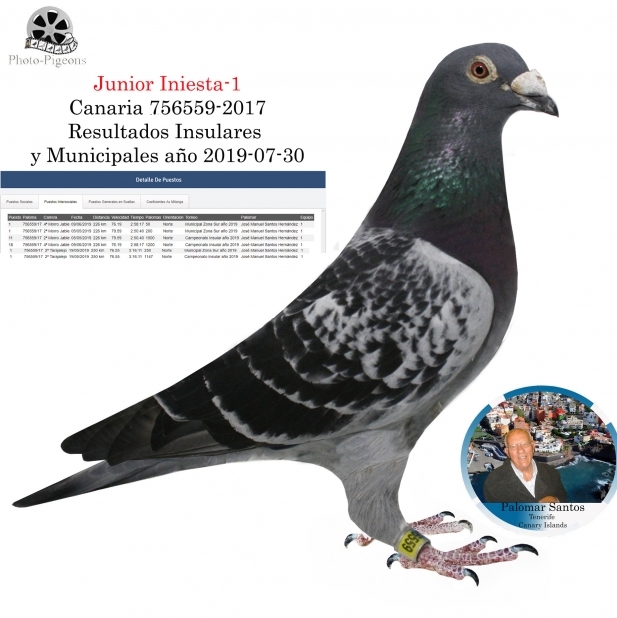 JUNIOR INIESTA I