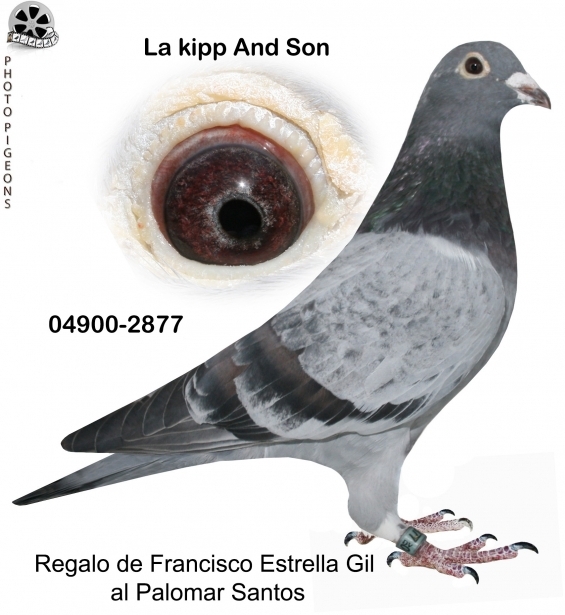 La Kipp