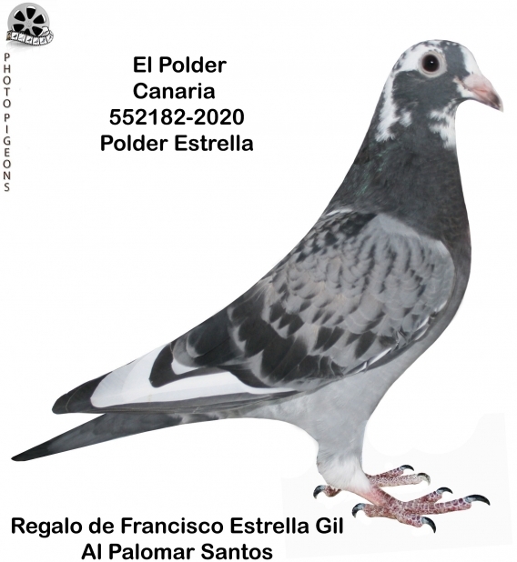 El Polder